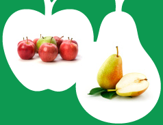 Prognosfruit 2017